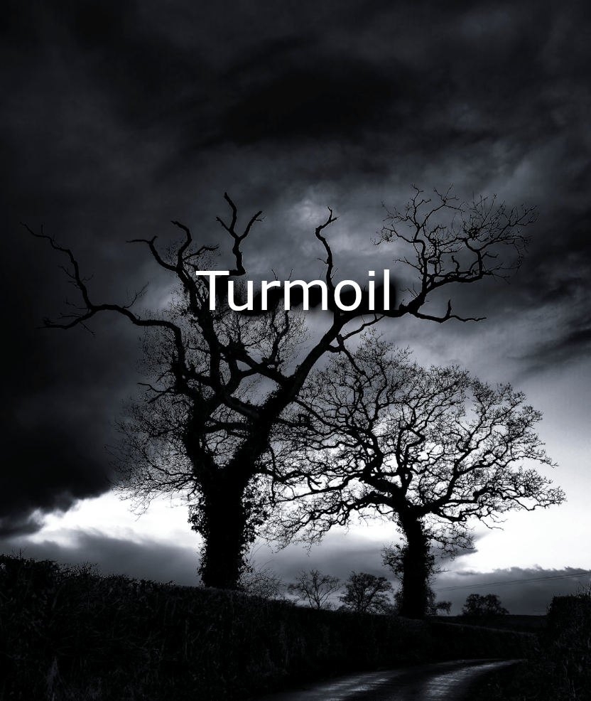 Silhouetted trees against a dark stormy sky, with the word 'Turmoil' prominently featured in the foreground.